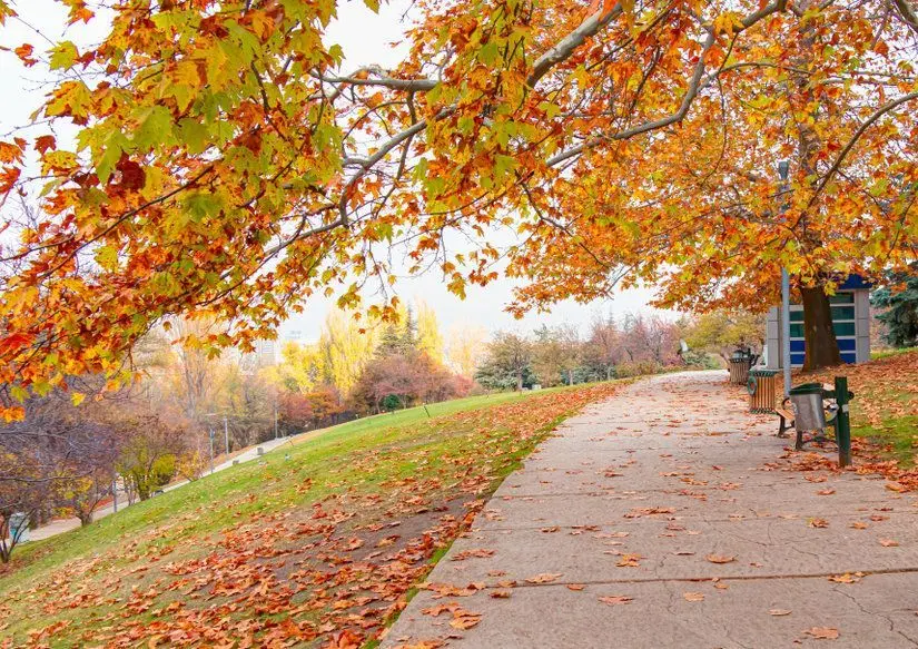 Seymenler Parkı
