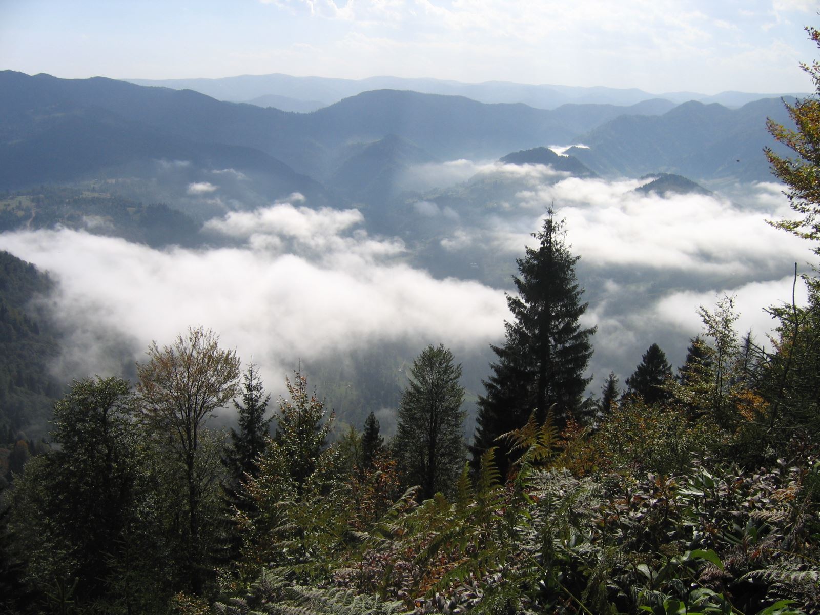 Sis Dağı Yaylası - Giresun