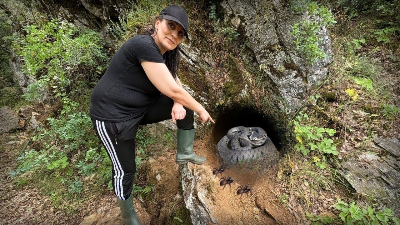 Define Kasasını Koruyan Lanetli Hayvanlar Çıkmaya Başladı !!!