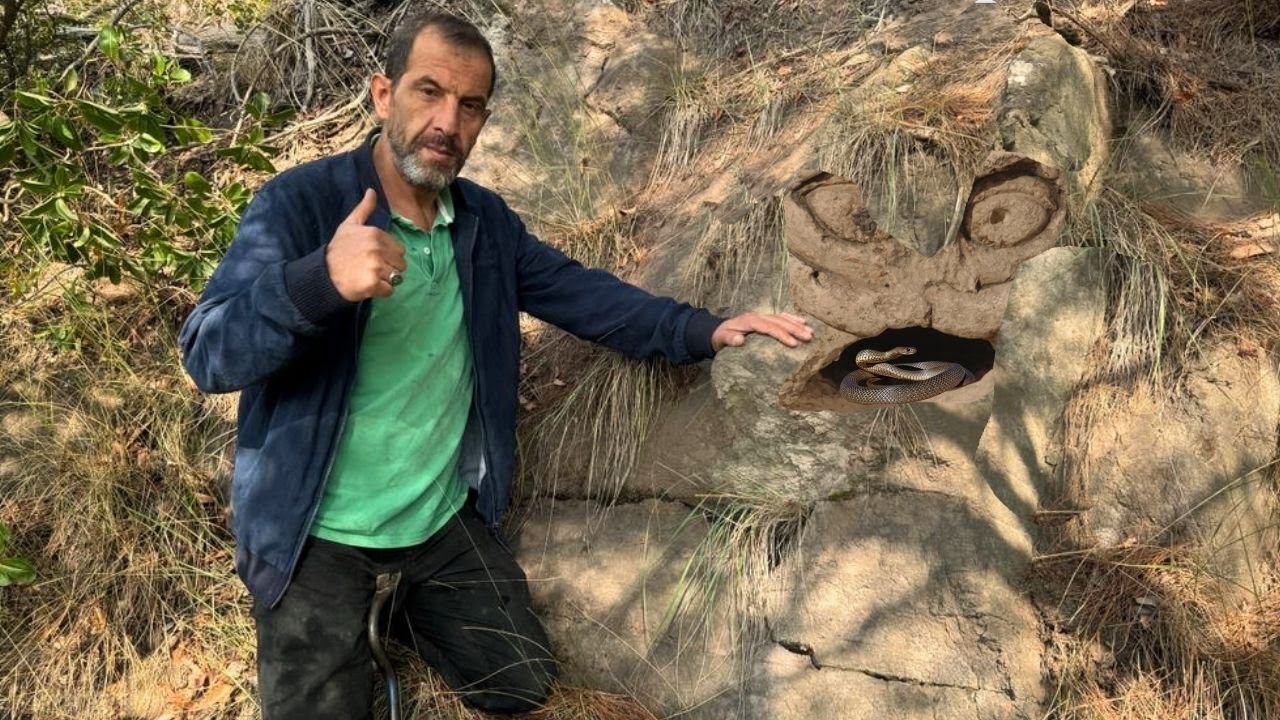 Define Kasasını Koruyan Yılan Çıkınca Saldırıya Başladı !!!