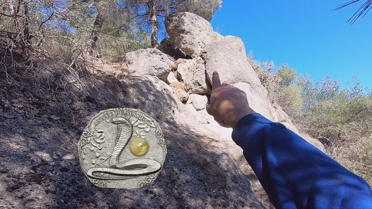 Kaplumbağa figürünün Definesini Arama Anı !!!
