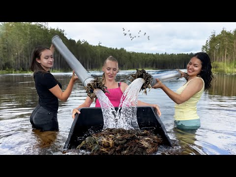 Crayfish Straight from the River! Cooking In The Style Of Camping
