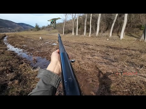 ÖRDEK VE ÇULLUK AVI. çulluk avında ördekler denk geldi. #duck #duckhunting #woodcockhunting