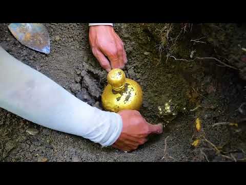 I Found a Megalodon Shark Tooth Underwater While Fossil Hunting! (How to Find Shark Teeth)