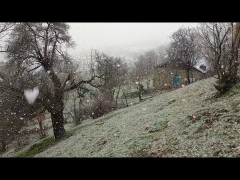 Köyde mart karının verdiği huzur❄️Kar yağışı ❄️☺️first moment of snowfall#snow#snowfall#winter#köy