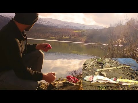 Güneşli bir kış gününde balık avı ve pişirme🌤️🌤️fishing and cooking fish in the village#fishing#köy