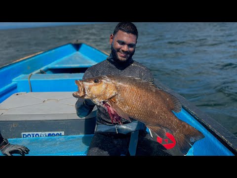 SPEARFISHING Trinidad’s East Coast | Finding the CUBERA SNAPPER SWARM