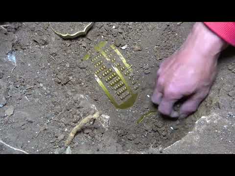 I Found a Megalodon Shark Tooth Underwater in a Shallow Creek!