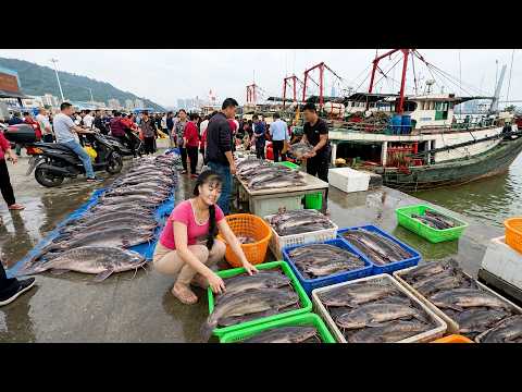 Tons of Mud Catfish By 3-Wheeled Vehicle Transport | Countryside Wholesale Market