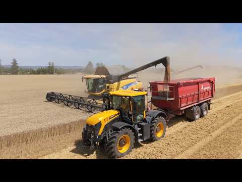 Žně 2026 - 3x New Holland | CR 9.80 | 2x CR 9080 |