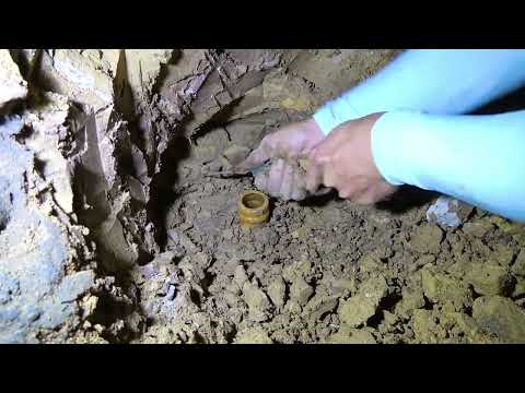 River Treasures: Unbelievable Finds - GoPro, Apple Watches, and iPhones!
