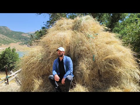 Köy Hayatı — Hayvanlarla mutlu bir yaşam. Real happiness with animals in village life.