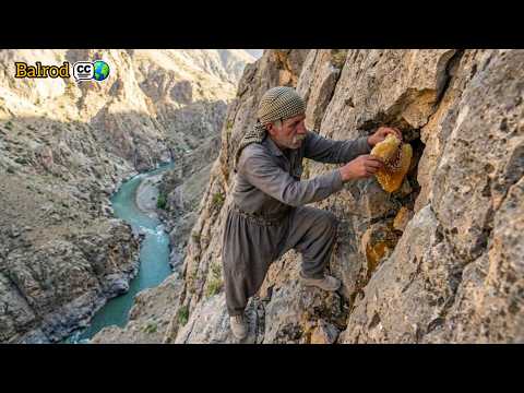 Nomads in search of wild honey; the secret of healing gold, the miracle of the mountains