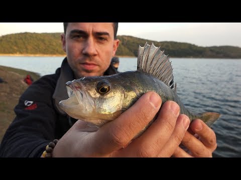 2017'nin Son Balık Avı Kapışması (VS)