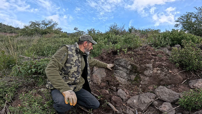 Kurbağa Define İşareti Ne Anlama Geliyor !!!