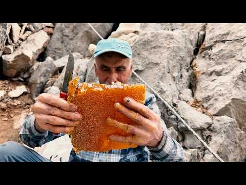 BAL BELGESELİ ( Dağlarda Bal Avı, Doğal Bal Keşfi )
