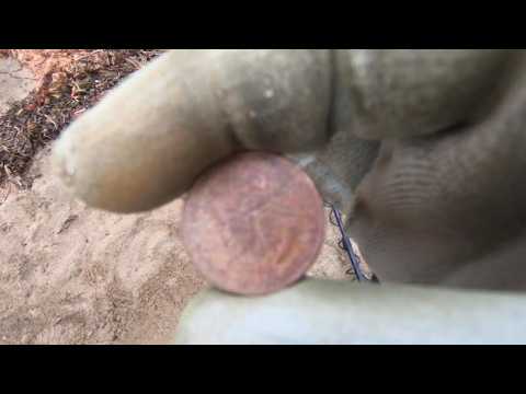 12 Mins of Metal Detecting - New Hampshire Quarter For The Cycle + Bonus Foreign Coin