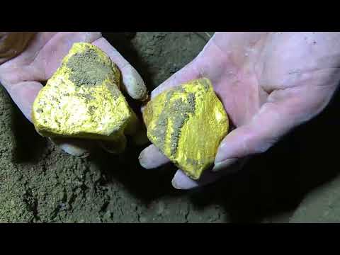 I Found a Megalodon Shark Tooth Underwater While Fossil Hunting! (How to Find Shark Teeth)