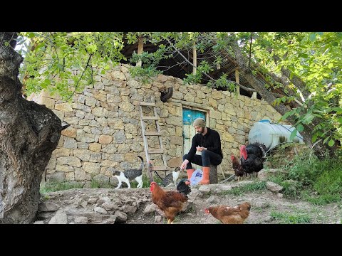 Bu Kedinin Çekirdek Aşkını Görmeniz Lazım! Dağ Köyünde Sevgi İle Kurulan Hayat.