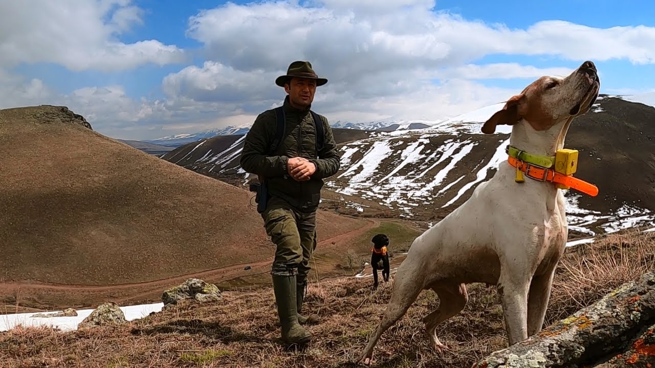 2021 tavşan keklik avları🔥Partridge hunt🔥Partridge and rabbit hunts🔥Chasse à la perdrix et au lapin🔥