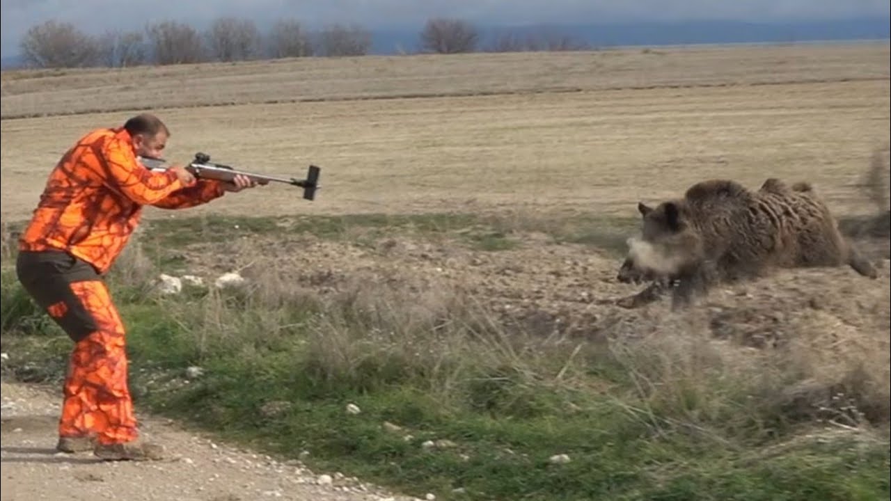 AKSİYON DOLU DAKİKALAR *** #Domuz Avı #WildBoarHunting #HogHunting
