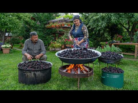 Village Cooking – Black Mulberry Harvest & One-Ingredient Winter Syrup 🍇🌿