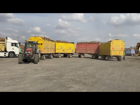 KONYANIN EN HIZLI ÇİFTÇİSİ İLE TARLADAN FABRİKAYA 90 TON PANCAR NAKLİYESİ