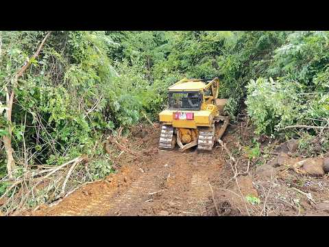 D6R XL Bulldozer Splits the Hill for Palm Oil Plantation Terraces