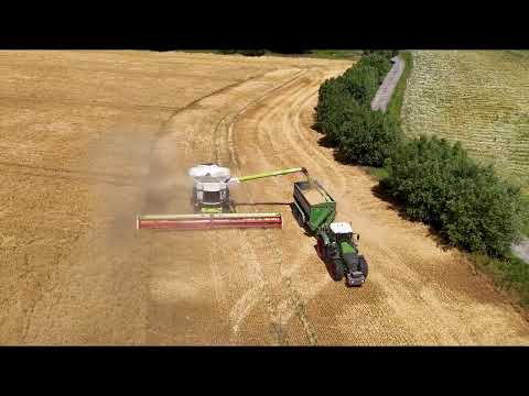 Start der Wintergerste bei der Agrarunion Poppendorf