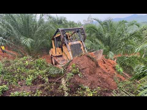 D6R XL Bulldozer as an Investment for Plantation Roads