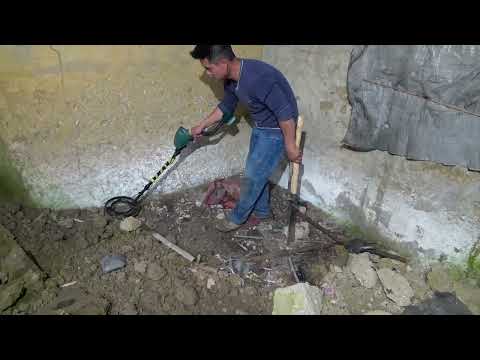 A man was hunting for treasure in the wild and accidentally dug up a big snake. It was too dangerous