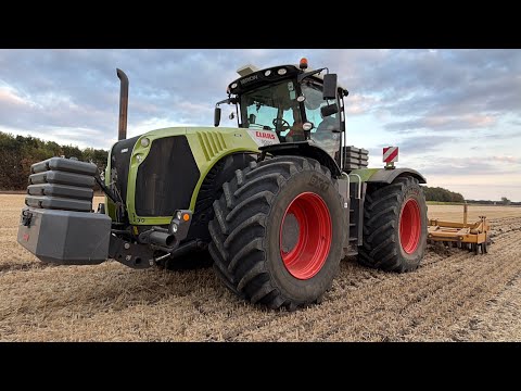 Farm update 459 Class Xerion subsoiling, work fields & planting OSR, Agrii clean & treat wheat seed