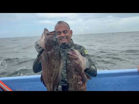 Lobster, Grouper & Snapper Everywhere! Trinidad Spearfishing Adventure