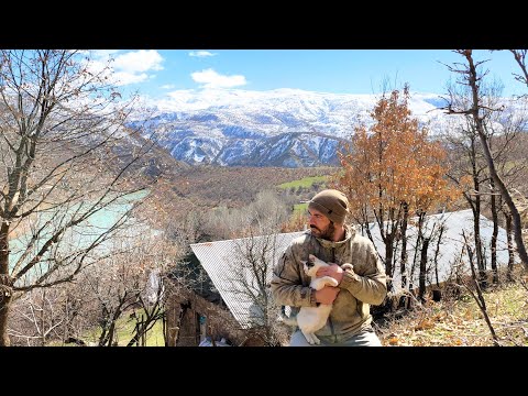 Kendine Kurduğu Küçücük Dünyada Huzuru Bulmaya Adanmış Bir Yaşam | A Life Devoted to Finding Peace.