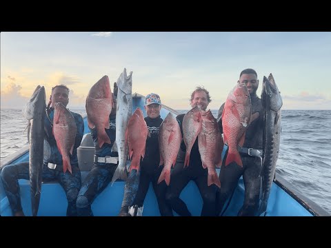 Offshore Spearfishing with the Instructors | Big Snapper, Barracuda & Jacks on Trinidad's East Coast