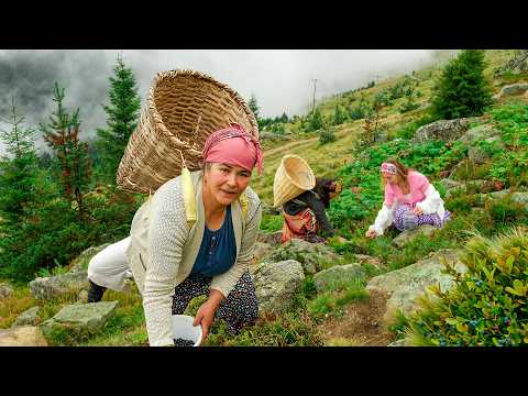 Zerbab'ın Yayladaki Hayatı | Belgesel Film