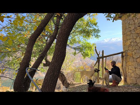 Köy Yaşamının Gerçekliği: Hastalık, Sorumluluk ve Sevginin Sınavı / Farm Life’s Responsibility.