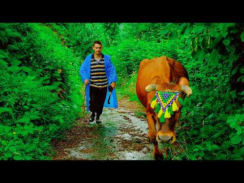 Köydeki Huzur - Efe ve İneği Yazgül'ün Kavuşması | Belgesel Film