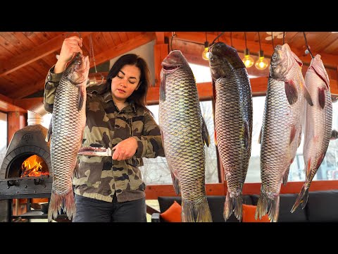 Carp in an Hour-Long Video with The Aroma of Freshly Caught Fish! Aquarium of Taste