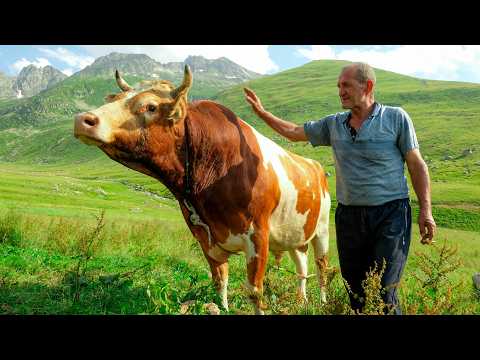Çiçekli Yaylanın İnsanları | Belgesel Film