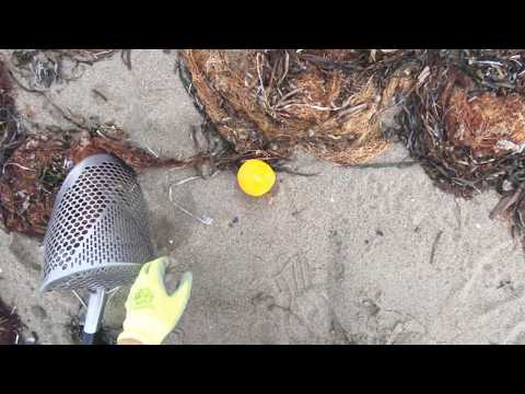 12 Mins of Metal Detecting - I Found an Orange on the Beach