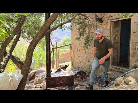 Yalnız bir adamın yüksek dağ köyünde hayvanlarla mutlu yaşamı. Türkiyede köy hayatı#villagelife#köy
