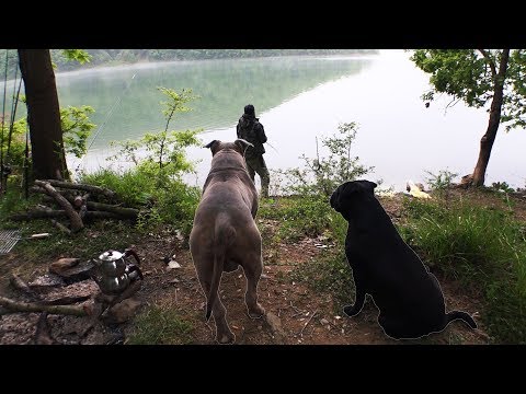 Pitbullar  İle  Balık Avı ve Kamp (Bölüm I)