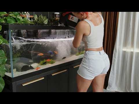Clean My 125 gallon Peacock Cichlid Tank With Me