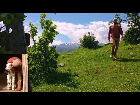 Medeniyetten uzak bir köyde mutluluğun gerçek yüzü. Köy hayatı. Happy life of lonely man#villagelife