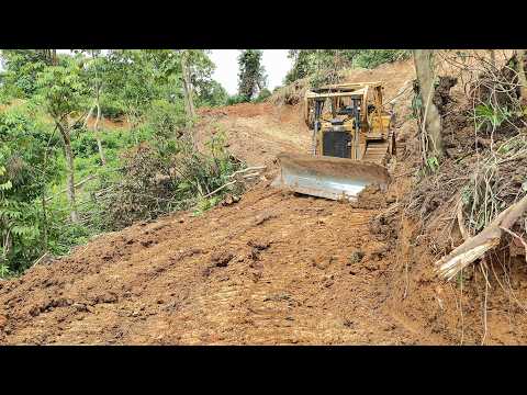 Forming Oil Palm Plantation Terraces Before and After the Bulldozer