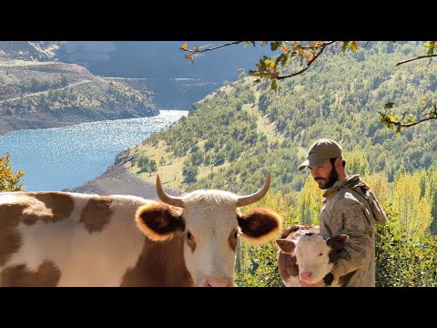 Cennetten Bir Yaşam: Dağ Köyünde Huzurlu Köy Hayatı | Heaven Life: Solo Peaceful Mountain Village