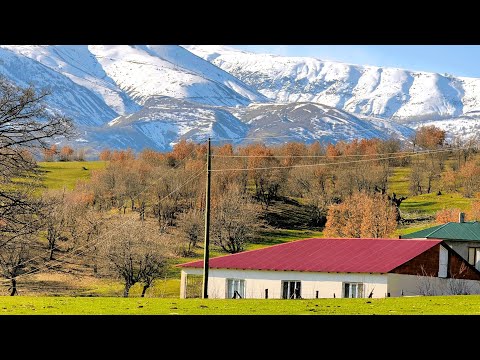 Dağ Köyünde Sevgiyle Kurulan Bir Hayat | Sessiz Vlog. Life in a Mountain Village | Silent Vlog