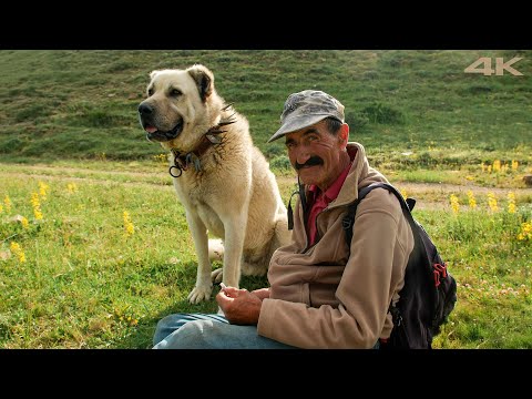 Yalnız Bir Hayat - Bölüm 3 | Belgesel Film