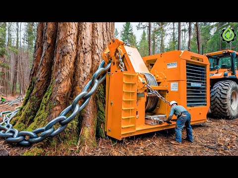 Extreme Dangerous Fastest Big Chainsaw Cutting Tree Machines | Monster Stump Removal Excavator #21